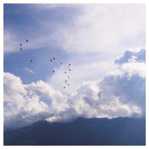 3D漫画我的合租女室友
